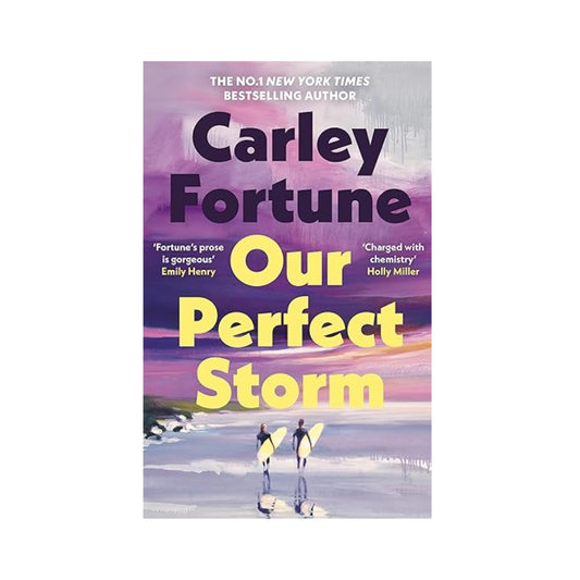 Our Perfect Storm by Carley Fortune