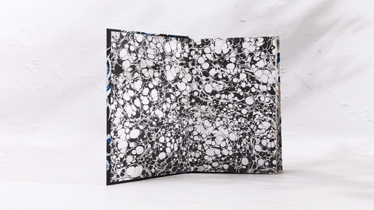 Dracula (Vintage Collector's Classics)