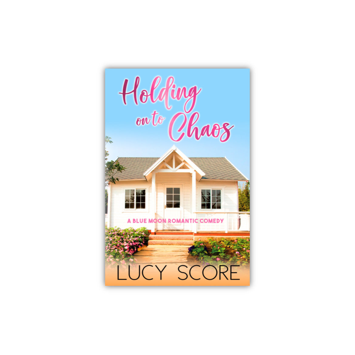 Holding on to Chaos by Lucy Score