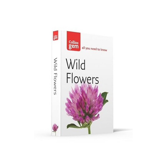 Wild Flowers