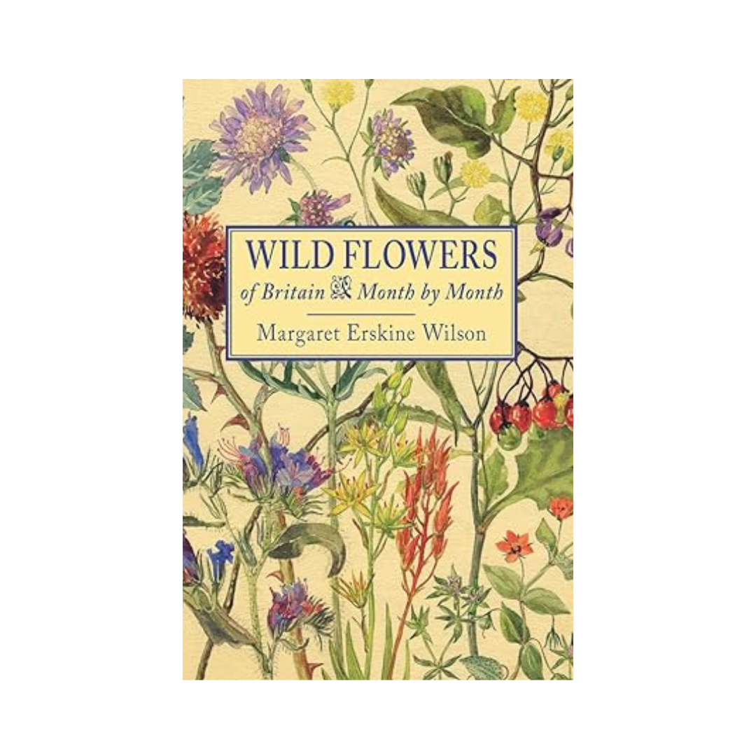 Wild Flowers of Britain by Margaret Erskine Wilson