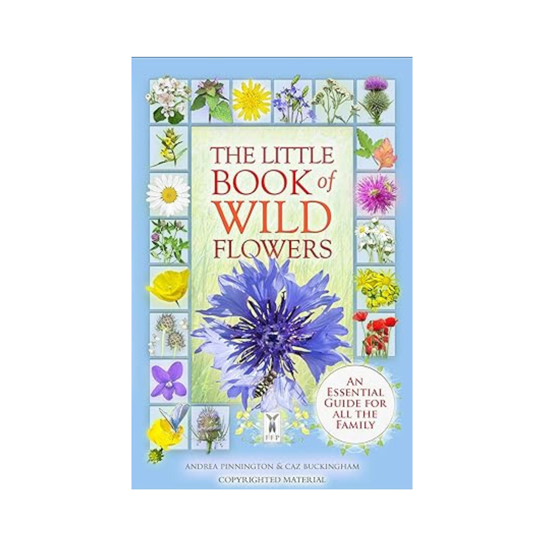 The Little Book of Wild Flowers by Andrea Pinnington & Caz Buckingham