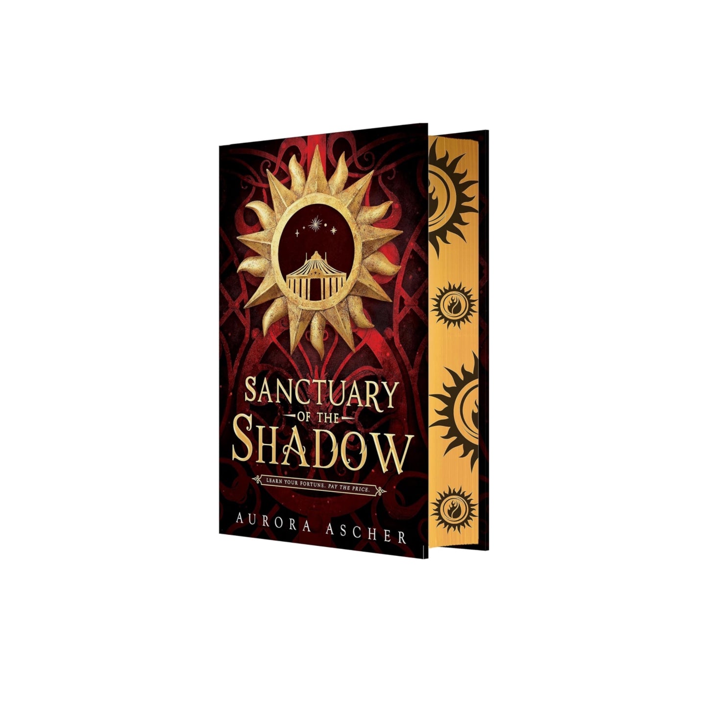 Sanctuary of the Shadow by Aurora Ascher