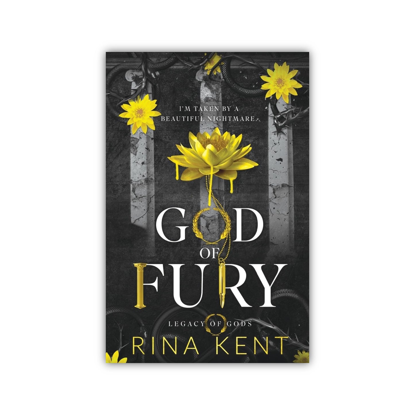 God of Fury by Rina Kent