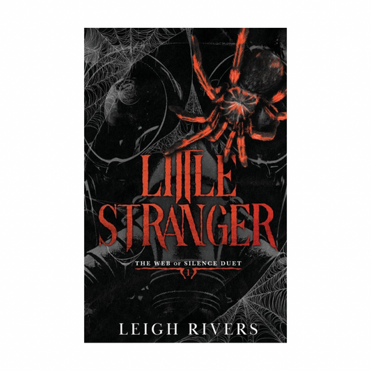 Little Stranger by Leigh Rivers
