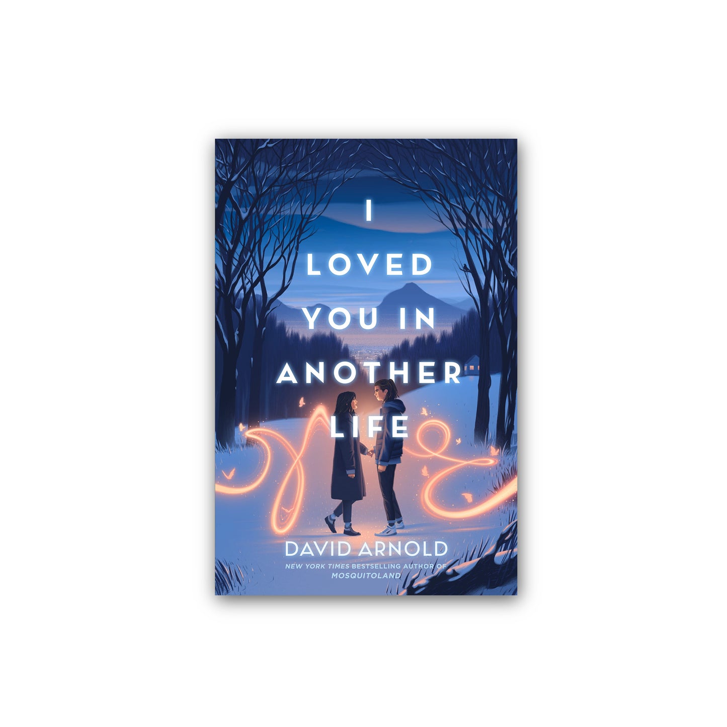 I Loved You in Another Life by David Arnold