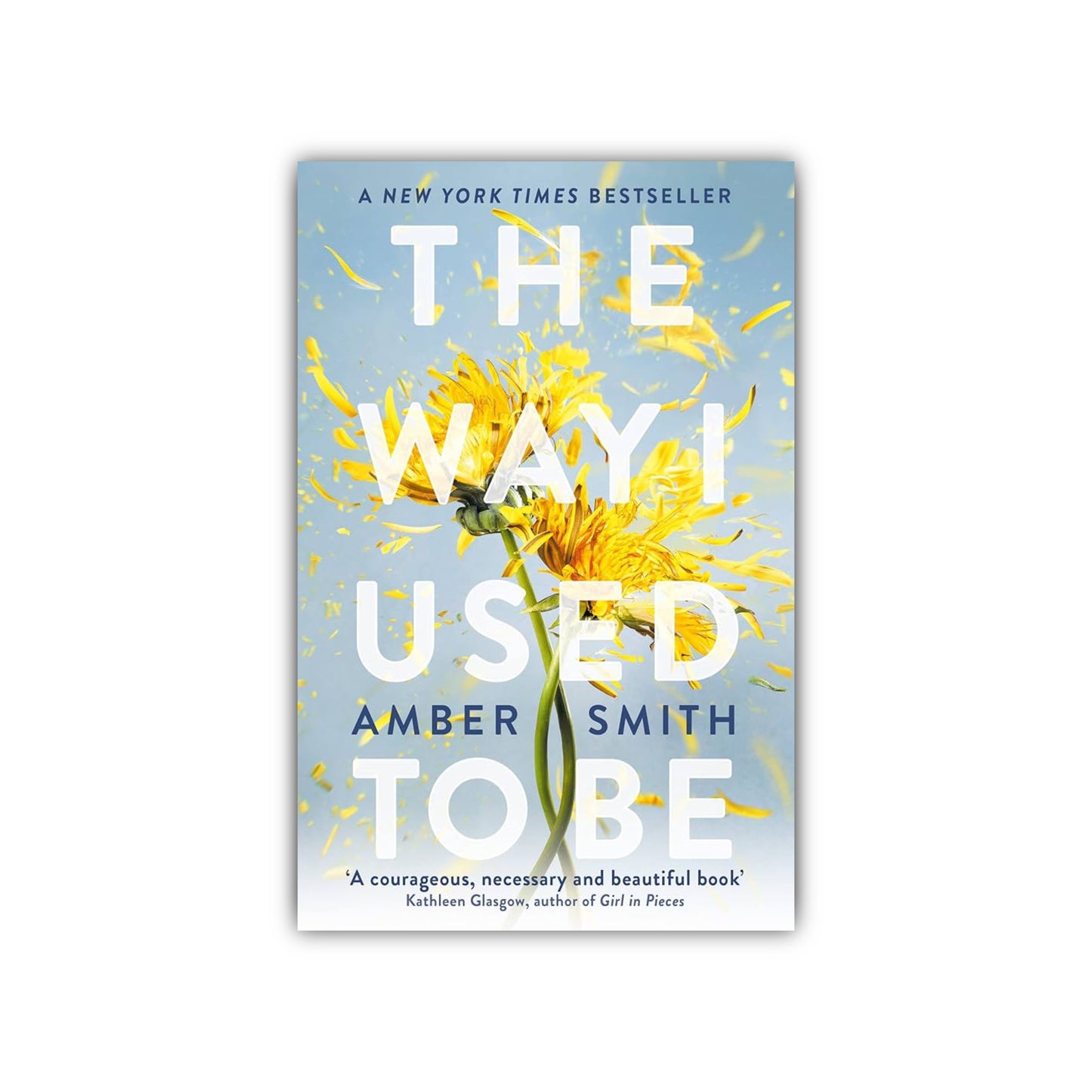 The Way I Used to Be by Amber Smith