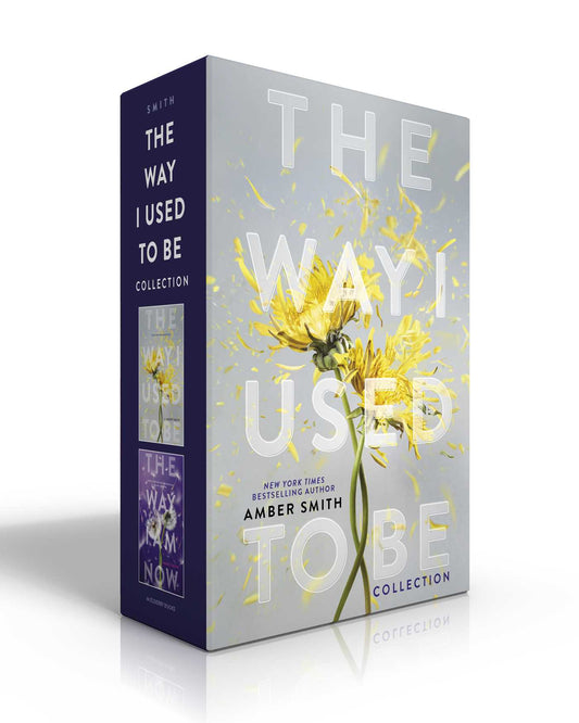 The Way I Used to Be (Boxed Det) by Amber Smith