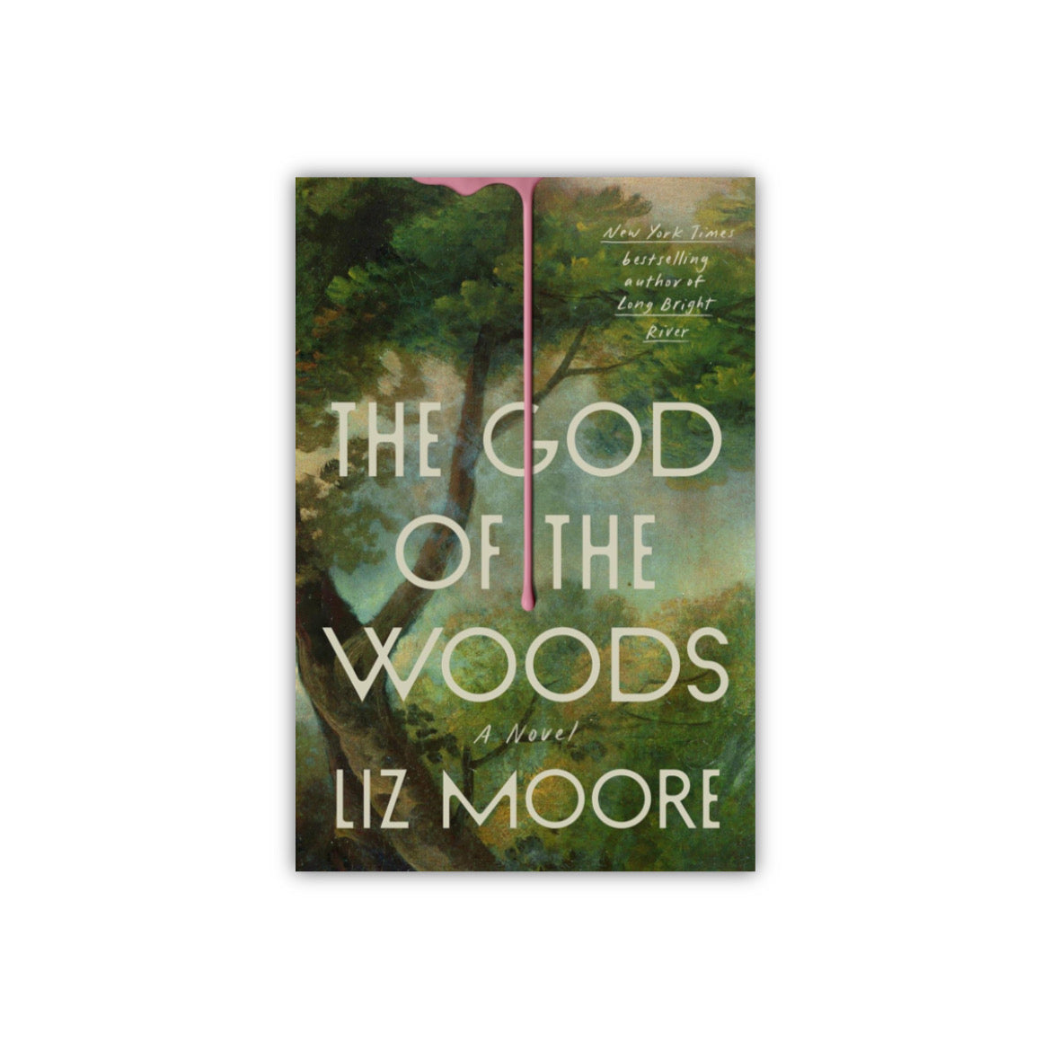 The God of the Woods by Liz Moore