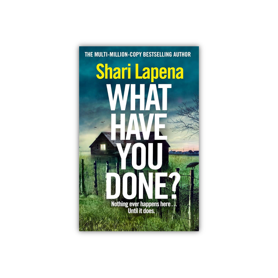 What Have You Done? by by Shari Lapena