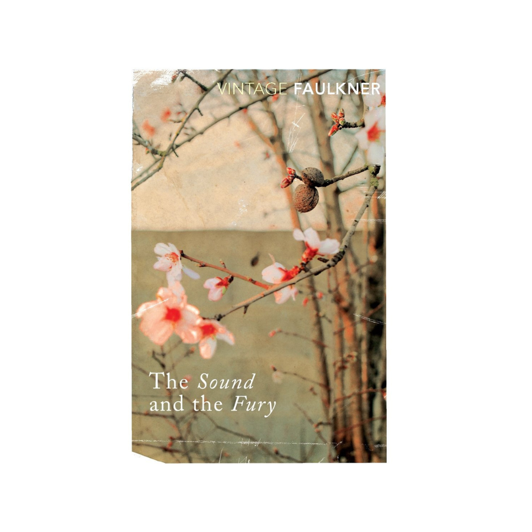 The Sound and the Fury by William Faulkner