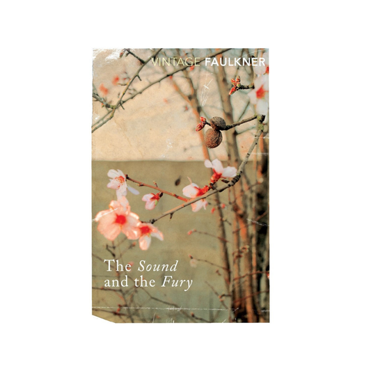 The Sound and the Fury by William Faulkner