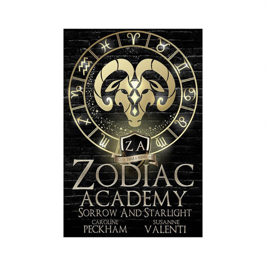 Zodiac Academy- Sorrow and Starlight (#8) by Packham/Valenti (Paperback)