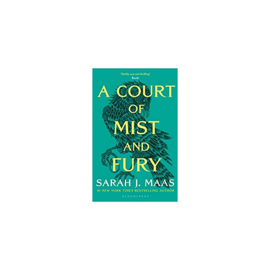 A Court of Mist and Fury by Sarah J Maas