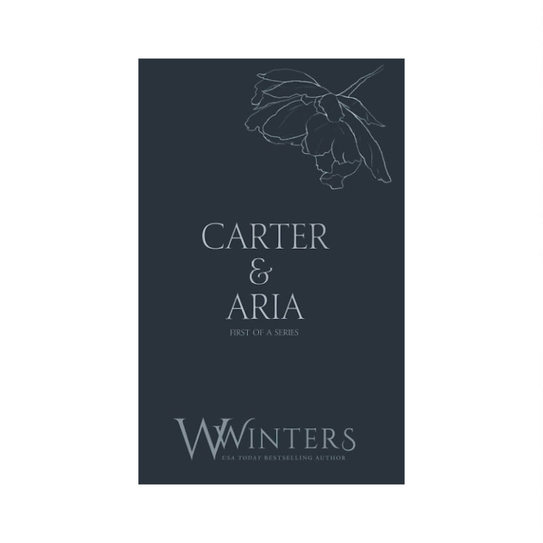 Carter & Aria: Merciless (Discreet Series) by Willow Winters